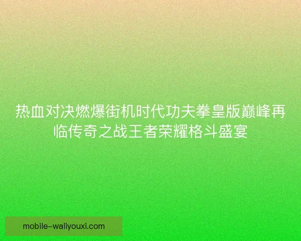 热血对决燃爆街机时代功夫拳皇版巅峰再临传奇之战王者荣耀格斗盛宴